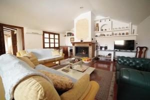 a living room with two couches and a fireplace at Palacete Magistral Domínguez habitaciones in Guadix