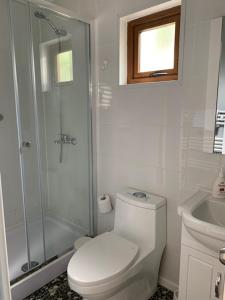 a bathroom with a shower and a toilet and a sink at Rumbo Suites in Punta Arenas