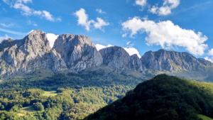a view of a mountain range with trees at Hotel Lena in Pola de Lena