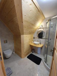 Vonios kambarys apgyvendinimo įstaigoje Domek z widokiem na Tatry