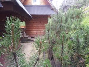 Vonkajšia záhrada v ubytovaní Mały domek pod lasem