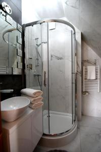 W łazience znajduje się szklana kabina prysznicowa i umywalka. w obiekcie Apartamenty Rogowcówka w Białym Dunajcu