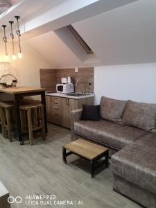 Posezení v ubytování KOPAONIK HOUSE