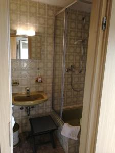 W łazience znajduje się umywalka i prysznic. w obiekcie Gasthaus Hochwald w mieście Hattgenstein