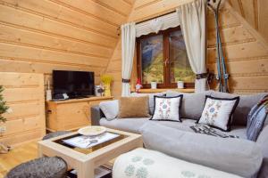 Televízia a/alebo spoločenská miestnosť v ubytovaní Apartamenty na Galicówce