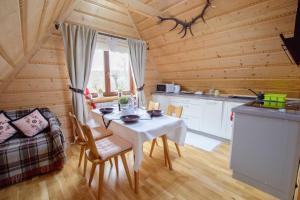Kuchyňa alebo kuchynka v ubytovaní Apartamenty na Galicówce