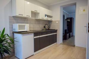 Kuchyňa alebo kuchynka v ubytovaní Apartamenty na Galicówce
