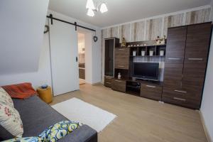 Televízia a/alebo spoločenská miestnosť v ubytovaní Apartamenty na Galicówce