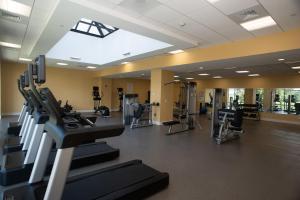 a gym with treadmills and elliptical machines at Holiday Inn Hotel & Suites - Joliet Southwest, an IHG Hotel in Joliet