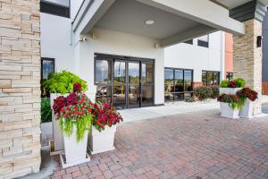 a building with three potted plants in front of it at Holiday Inn Express Dublin, an IHG Hotel in Dublin