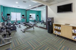 a fitness room with cardio equipment and a flat screen tv at Holiday Inn Express Arrowood, an IHG Hotel in Charlotte