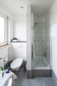 a bathroom with a shower and a toilet and a sink at Hotel Birkenstern in Bad Wildungen