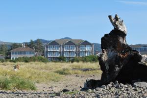 a tree stump on the beach with a building in the background at Inn at the Shore in Seaside
