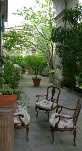 ルッカにあるVILLA LA DOGANAの植物のある中庭に座るベンチ2台