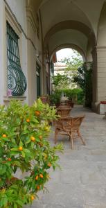 an outdoor patio with a bench and orange trees at VILLA LA DOGANA in Lucca