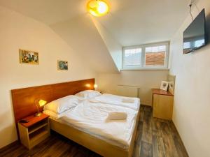 a bedroom with a bed and a tv in it at Hotel Restaurant Svejk in Bublava