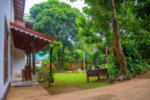 Kebun di luar Homestay Garden Rest Kandy