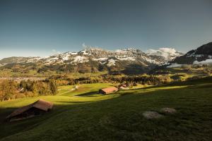 a green field with a mountain in the background at Chalet Bergwelt in Frutigen
