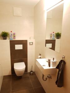 een badkamer met een toilet en een wastafel bij Ferienwohnungen Christine in Waidring