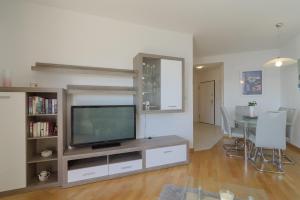 TV a/nebo společenská místnost v ubytování Apartment Marijana