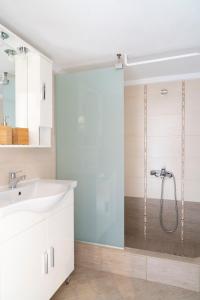 La salle de bains est pourvue d'une douche et d'un lavabo. dans l'établissement Alexandros Maisonettes & Apartments, à Nea Moudania
