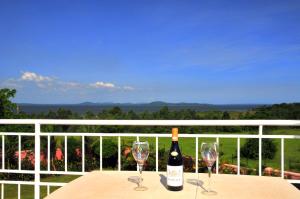 a bottle of wine and two glasses on a table at Victoria Lake View Guesthouse & Safaris in Entebbe
