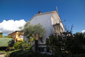 ein weißes Haus mit einem Baum davor in der Unterkunft Villa Maria in Novigrad Istria