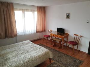 Televizorius ir (arba) pramogų centras apgyvendinimo įstaigoje Guest Rooms Metaksinovi