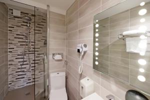 a bathroom with a shower and a toilet and a sink at Charming Hôtel - Les Pasteliers in Albi