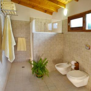 uma casa de banho com um WC, um chuveiro e um lavatório. em Cabañas Am Bach em Villa General Belgrano