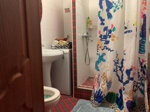 イヴァノヴォにあるДвухкомнатная квартира-студияのバスルーム(トイレ、シャワーカーテン付)