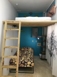 a bunk bed with a ladder in a room at Crash Pad Adventure Hostel in Hopkins