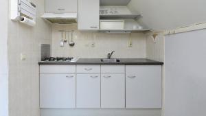 a small kitchen with white cabinets and a sink at Vrijstaande woning te Vlagtwedde in Vlagtwedde