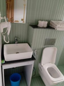 a bathroom with a sink and a toilet at Hotel Parkland in Sauraha
