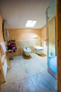 La salle de bains est pourvue de toilettes, d'un lavabo et d'une douche. dans l'établissement Chalet Il Cristallo-Monte Amiata, à Castel del Piano