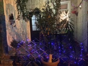 Hotel Maria外面的花园
