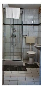 Kúpeľňa v ubytovaní Tiszafa Vendégház Nagykanizsa