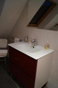 a bathroom with a sink in a room at Gîtes du Taennchel in Thannenkirch