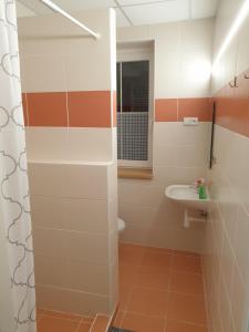 Fotografie z fotogalerie ubytování Pension Medard v destinaci Boží Dar