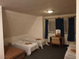 Fotografie z fotogalerie ubytování Pension Medard v destinaci Boží Dar