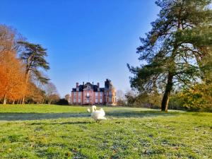 Zahrada ubytování Château de Chantore