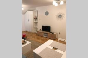 ベオグラードにあるApartman Ivaのテレビとテーブルのあるリビングルーム