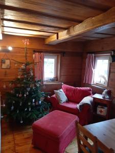 a living room with a christmas tree and a couch at Chata "Na pohodu" in Chřibská