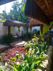 un jardín con un montón de plantas y flores en Pousada D'Pillel, en Abraão