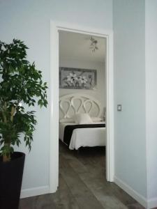 トレモリノスにあるCarihuela New Design On Beachのベッドルーム(ベッド1台、鉢植えの植物付)