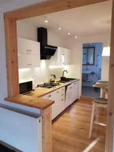 Kuchyňa alebo kuchynka v ubytovaní Gabi Apartament Zakopane
