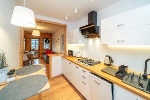 Kuchyňa alebo kuchynka v ubytovaní Gabi Apartament Zakopane