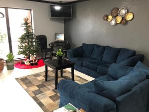 un salon avec un canapé bleu et un arbre de Noël dans l'établissement Americas Best Value Inn Yukon, à Yukon