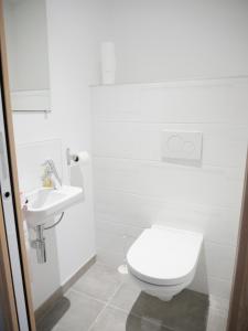 Ένα μπάνιο στο Superbe appartement en centre ville avec terrasse +2 φωτογραφίες