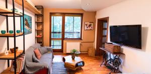 Televízia a/alebo spoločenská miestnosť v ubytovaní Apartman Orlie Pierko - Tatranska Lomnica
